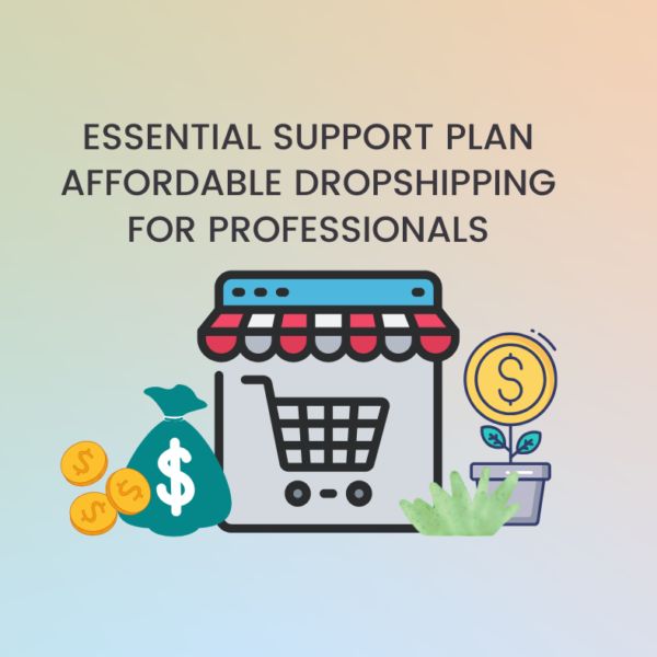 Colorful illustration of an e-commerce dropshipping store with icons representing money, shopping cart, and support plan.